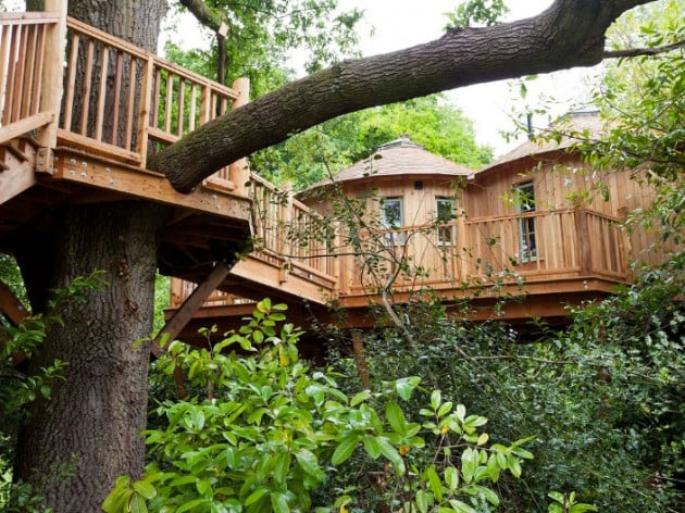 treehouse