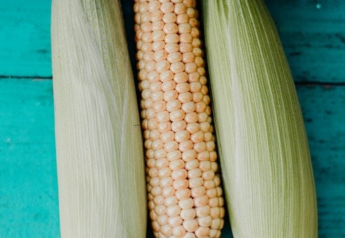 english-vs-spanish-corn