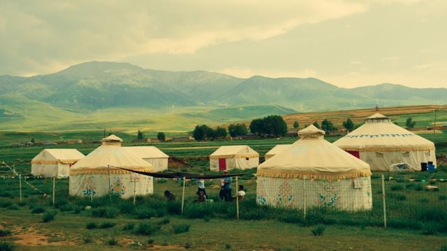 Mongolian Language Essentials: What Every Learner Should Know