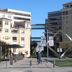 Cupertino image