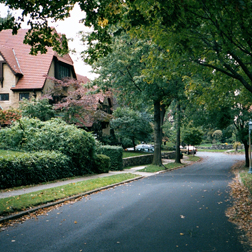 Forest Hills image