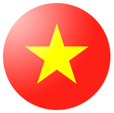 Vietnamese Language